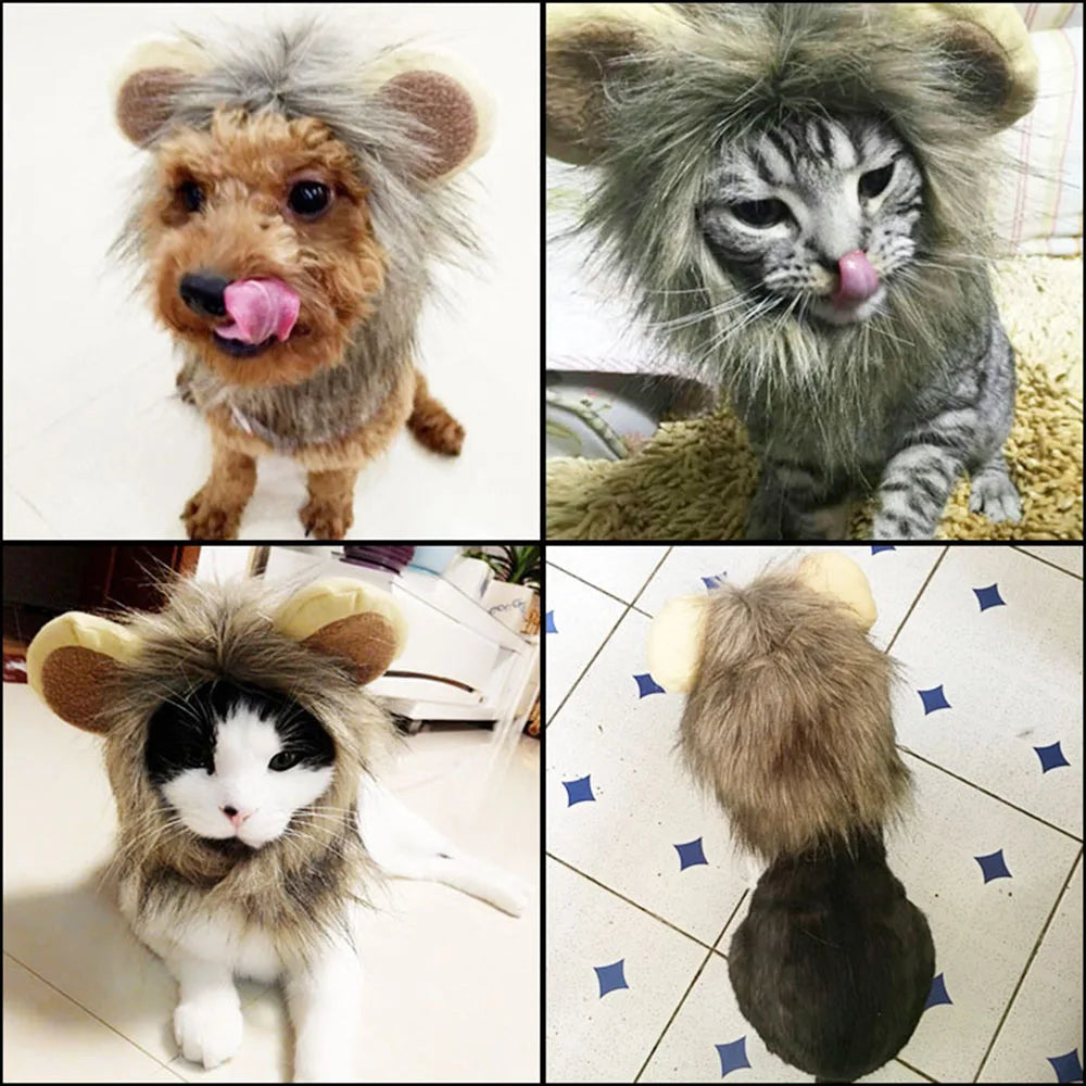 Cat Costume Cute Lion Mane Wig Hat for Cat Puppy Dog Decor Accessories Lion Kitten Cat Wig Fancy Hair Cap Halloween Pet Supplies